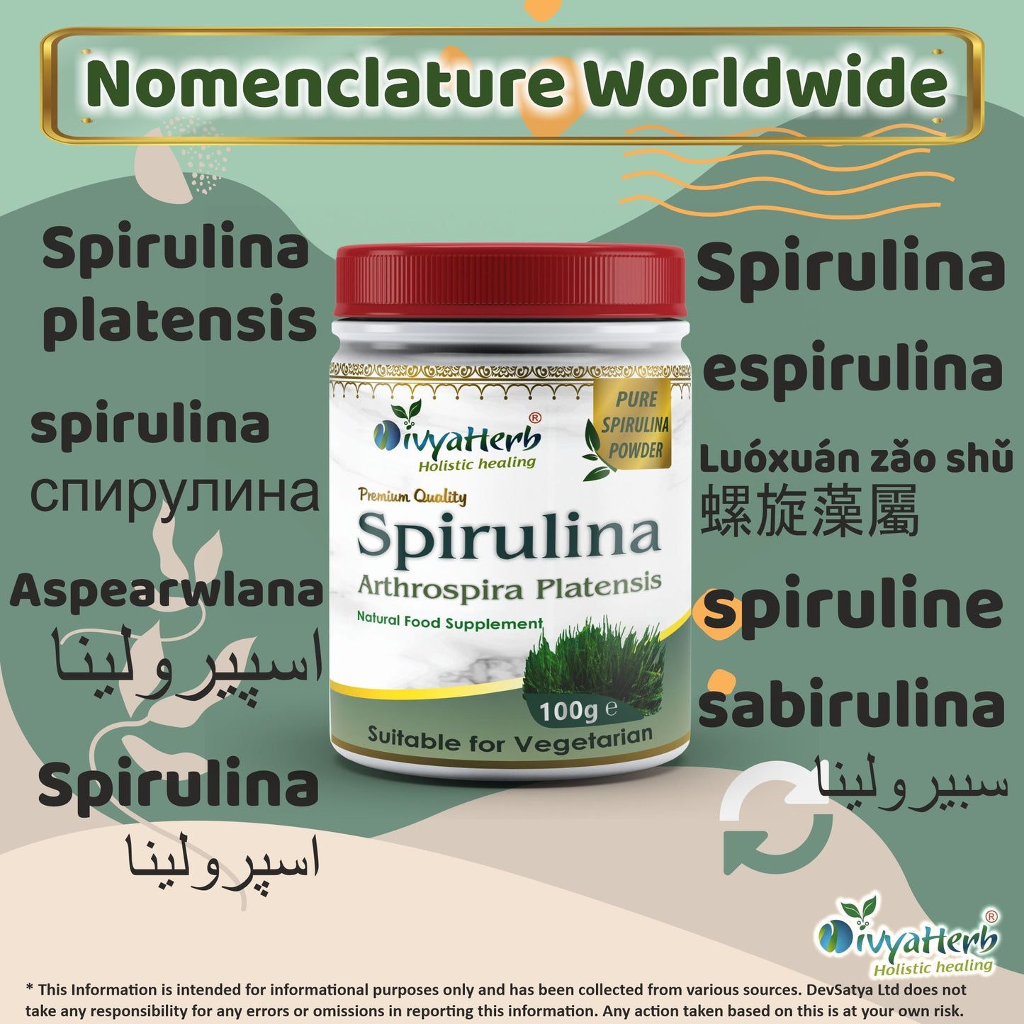 Spirulina Powder-2